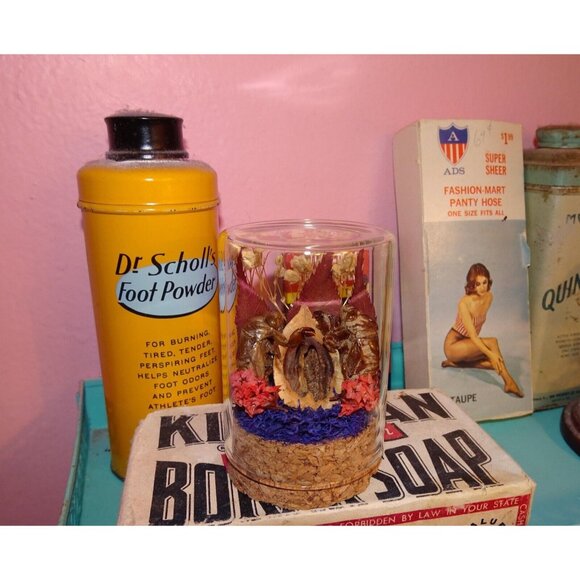 Two Cicada Skins Nut Shell & Dried Flowers Oddity Jar witchy goth taxidermy - Picture 6 of 13